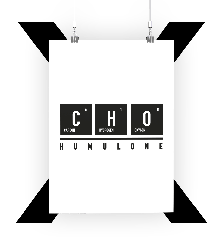 projet